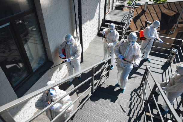 Trusted Gonzales, TX Mold Removal Experts