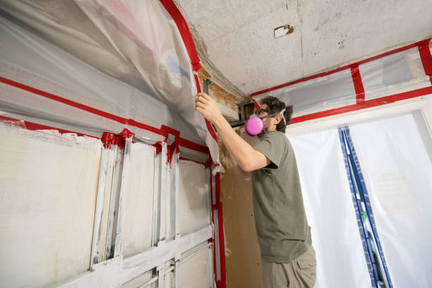 Best Real Estate Mold Inspection  in Gonzales, TX